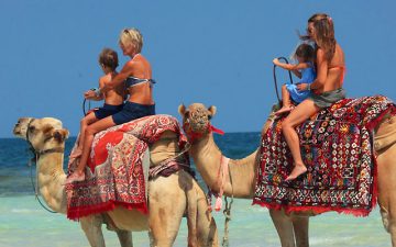 Обзор лучших отелей 4 звезды Джербы