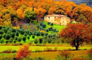 You are currently viewing 5 причин посетить Тоскану в ноябре