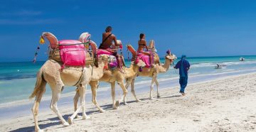 Где лучше отдыхать в солнечном Тунисе