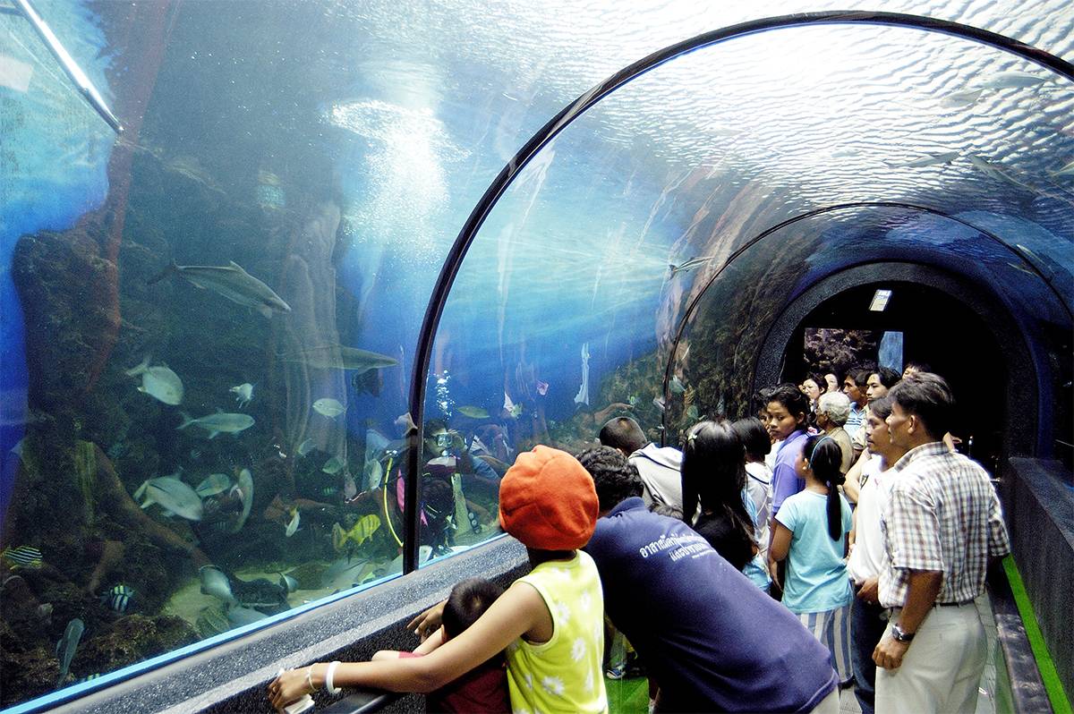 Aquaria phuket