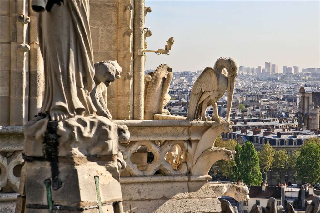 Собор парижской богоматери гаргульи