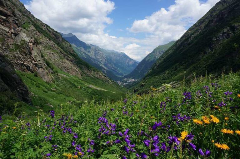 Ущелье Аманауз Домбай зимой