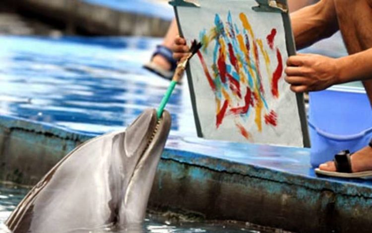 картина написанная дельфинами