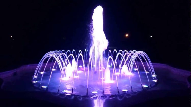 Поющий фонтан в парке Ореховая роща