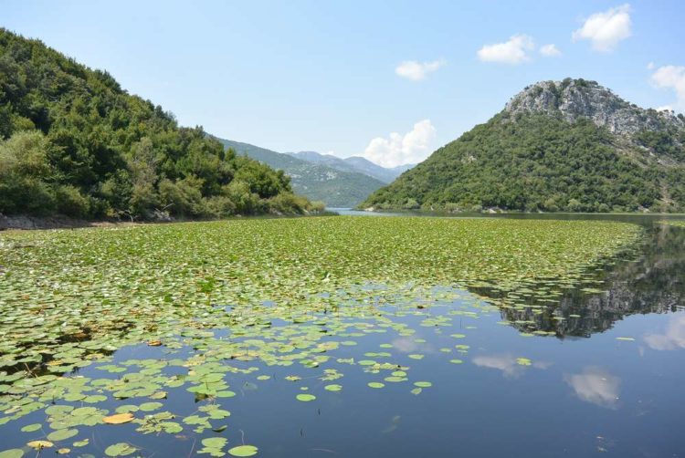 Озеро Шкодер