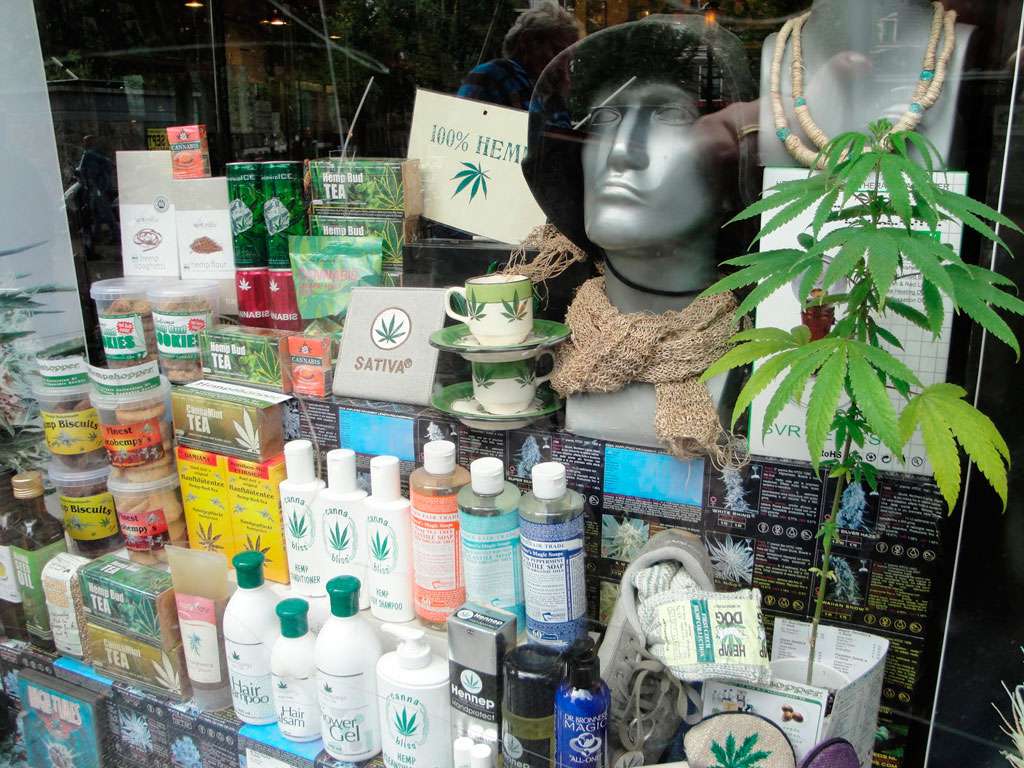 Амстердам конопля купить что будет за сбыт марихуаны