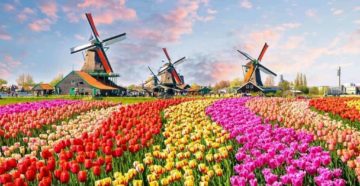 Что посмотреть в Нидерландах из достопримечательностей?