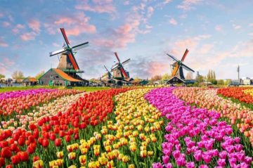 Вы сейчас просматриваете Что посмотреть в Нидерландах из достопримечательностей?