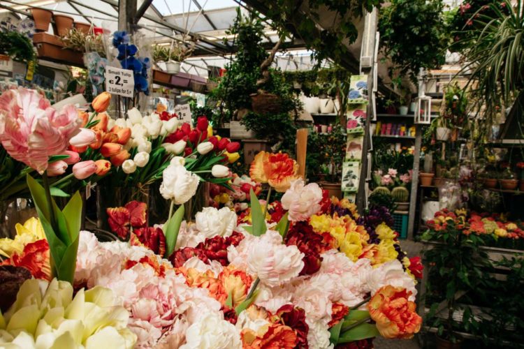 магазины цветов в Амстердаме