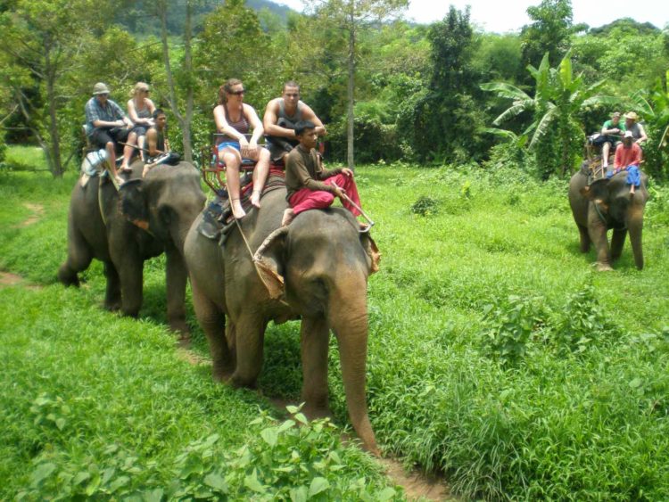 в Таиланде на слонах