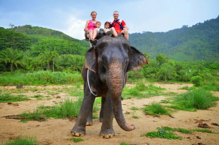 Экскурсия на слоне по Пхукету