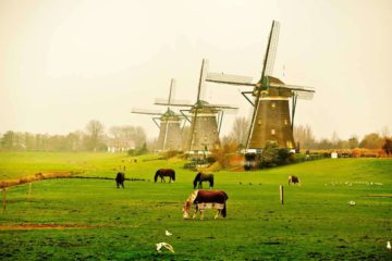 Из Амстердама по фермам и рыбацким деревням