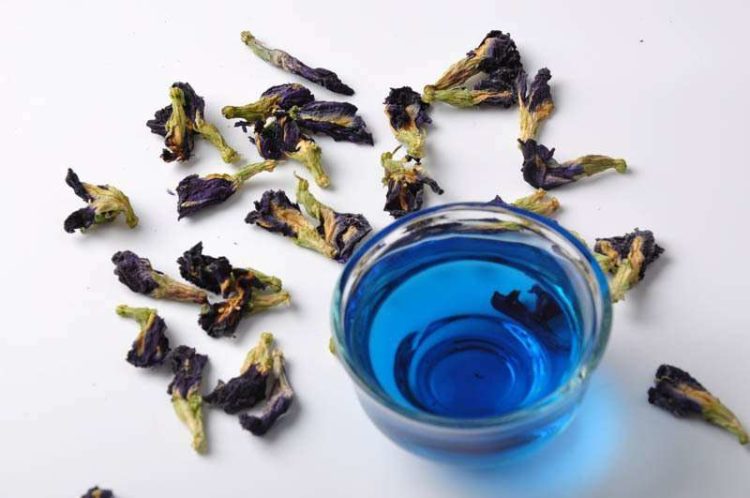 Синий чай из Пхукета