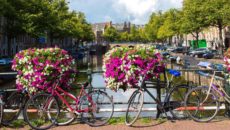 Как взять в аренду велосипед в Амстердаме и куда на нем поехать?