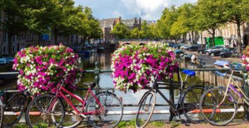 Как взять в аренду велосипед в Амстердаме и куда на нем поехать?