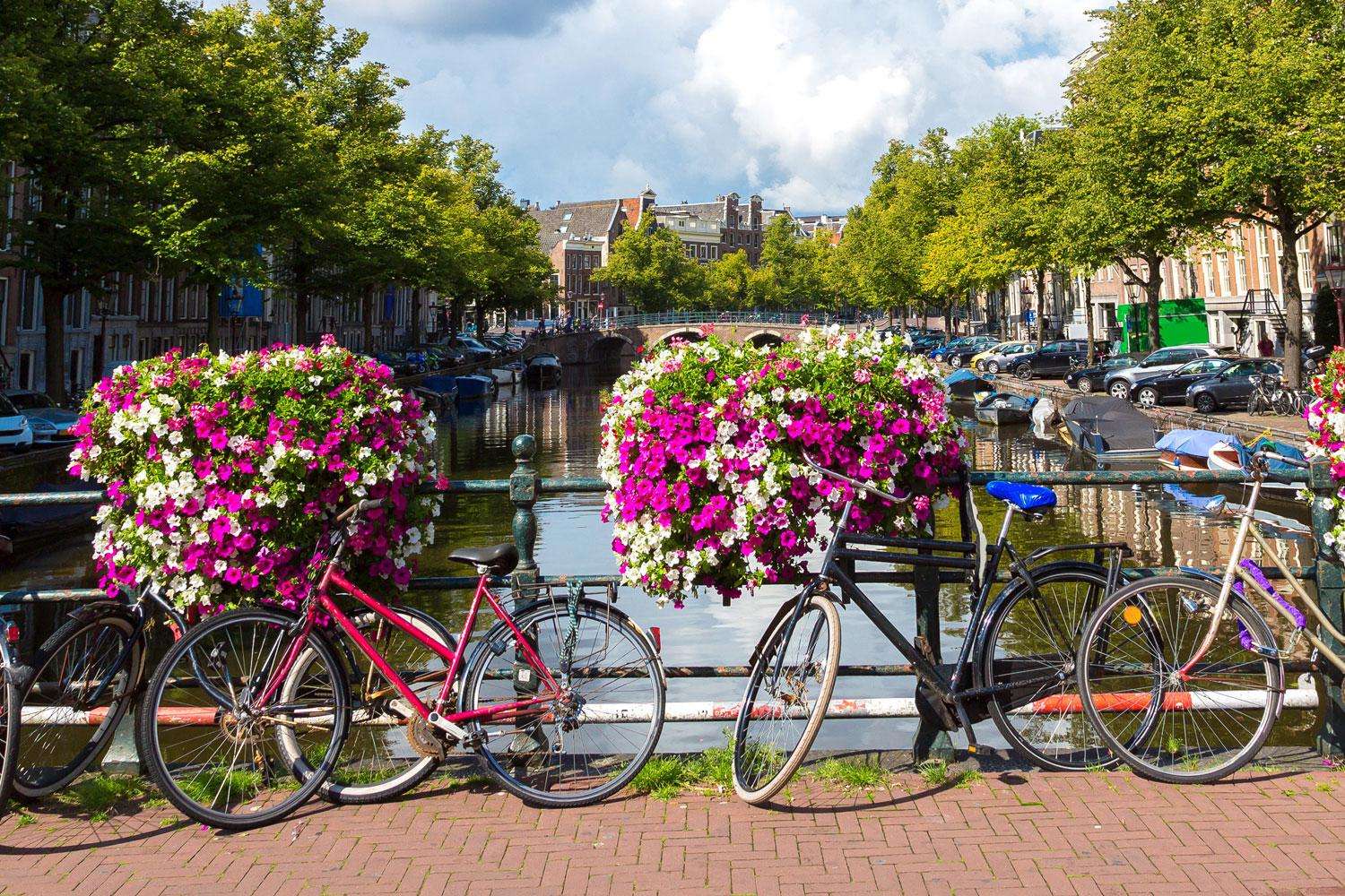 Амстердам велосипедная столица