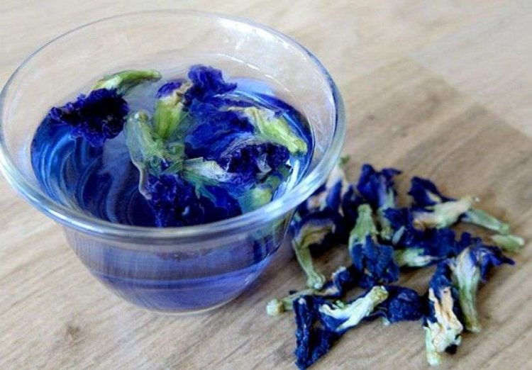 Синий чай из Паттайи