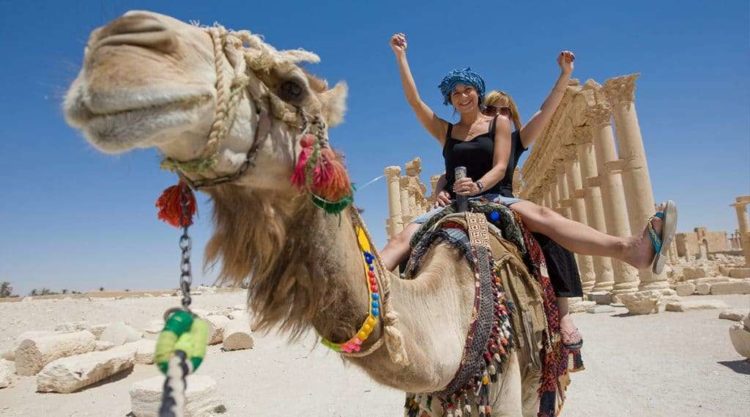 на верблюде в Египте