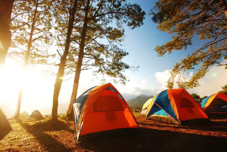 отдых с палатками