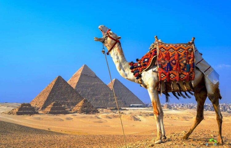 пирамиды в Египте