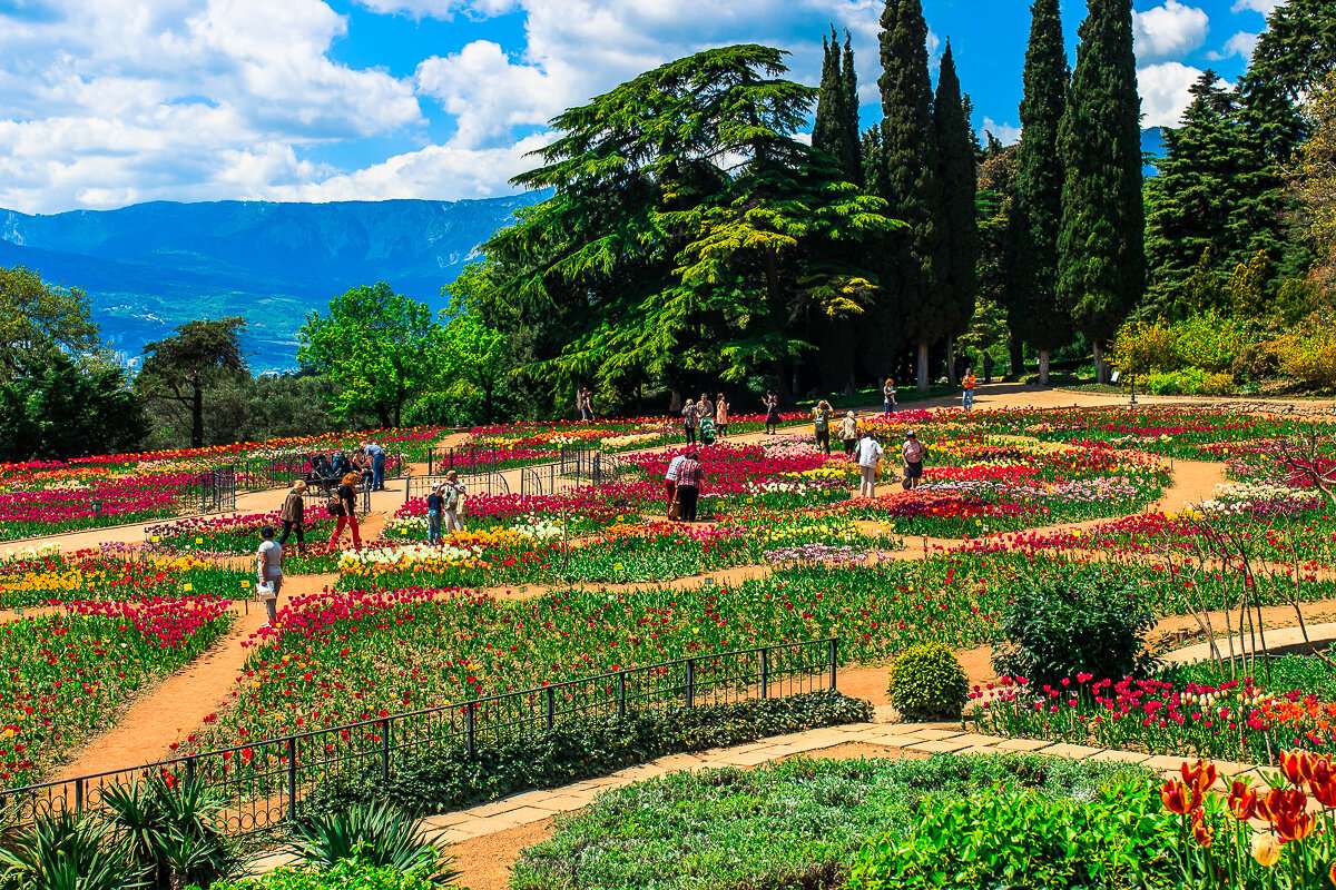 Никитский Ботанический сад в Крыму