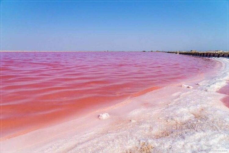 Экскурсия на Розовое озеро из Алушты