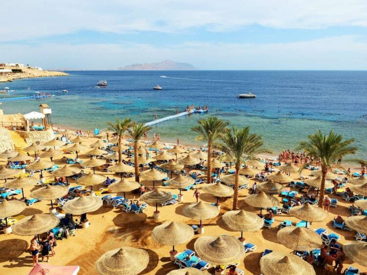 После открытия Египта больше россиян смогут отдохнуть на курортах Красного моря