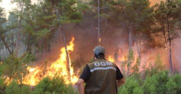 Стало известно, почему в Турции горят леса и начались пожары