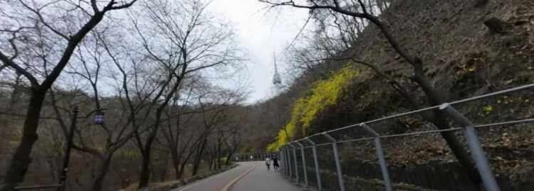 Namsan park в Сеуле