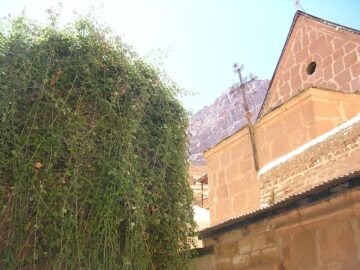Неопалимая Купина в монастыре Святой Екатерины