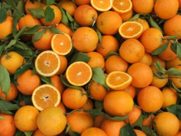 Апельсины в Египте