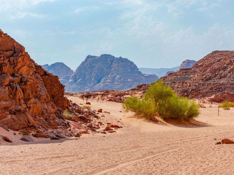 Цветной каньон и заповедник Абу Галум за 1 день