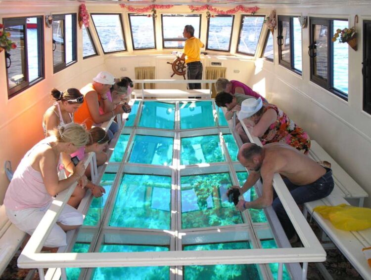 Катание на лодке с прозрачным дном по Красному морю
