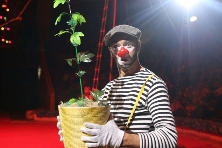Клоун в Казанском цирке