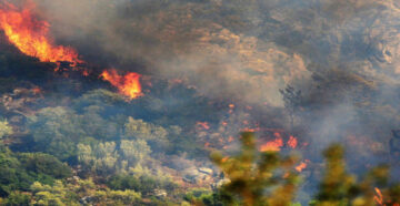 Разгул стихии или опять поджоги? Рядом с турецким курортом Мармарис возник сильный лесной пожар