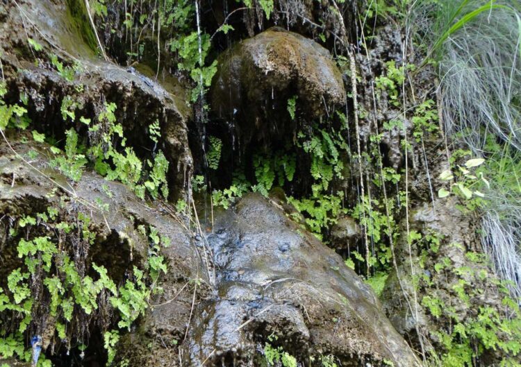 Поездка на водопад Девичьи слезы в Абхазии