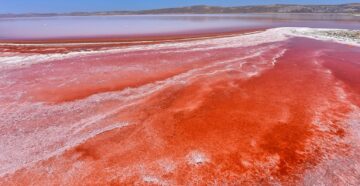 Не зря зовут Красным: море в Хургаде внезапно покраснело на удивление туристам