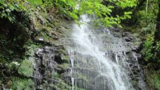 Водопад Девичьи слезы в Абхазии