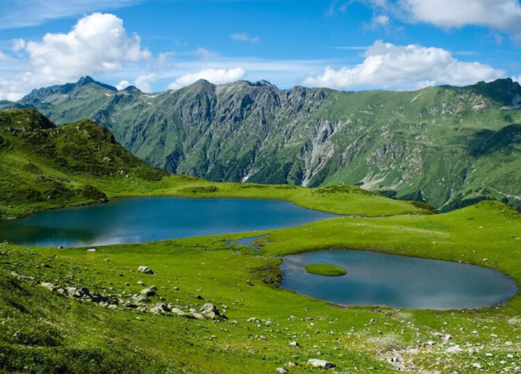 Альпийские луга в Абхазии