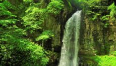 Водопад Великан в Абхазии