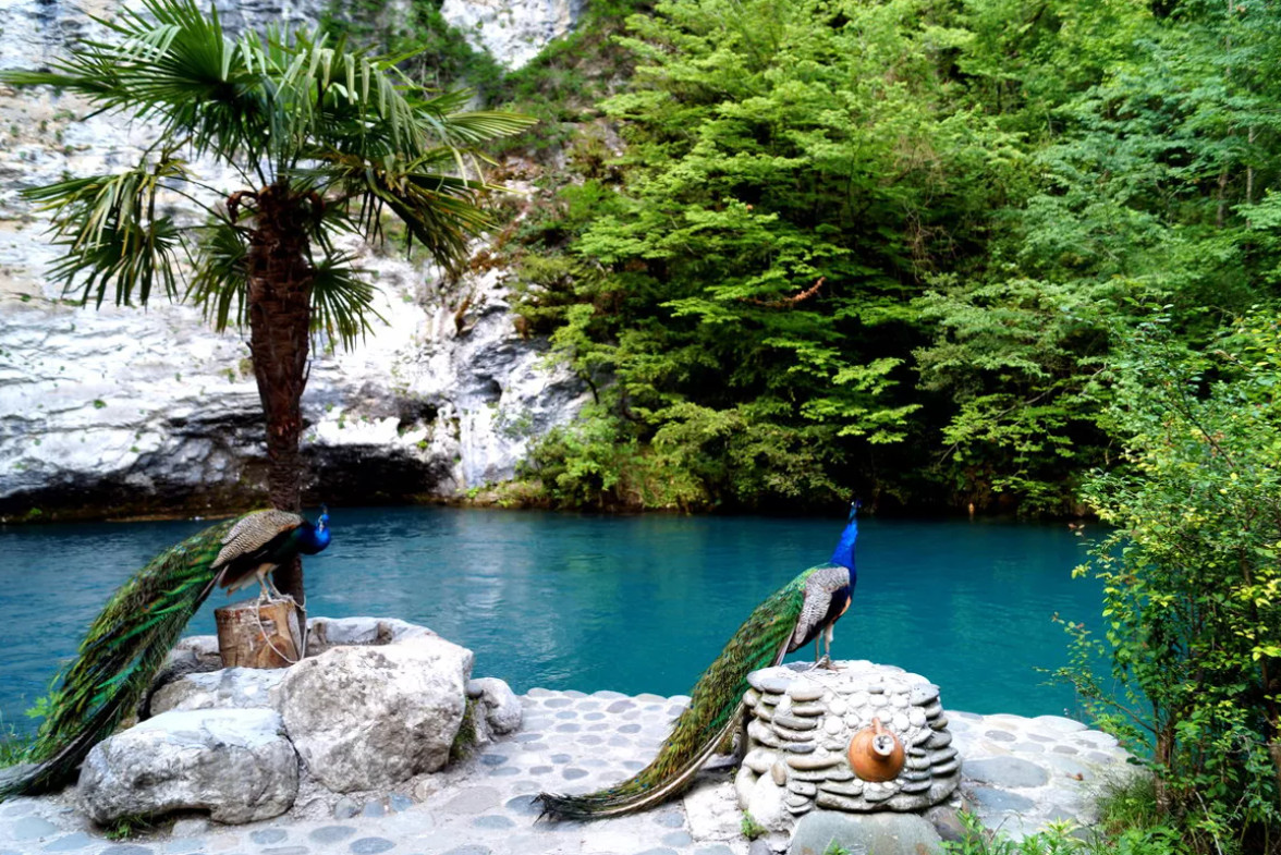 Абхазия природа достопримечательности