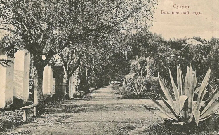 Ботанический сад в Сухуме