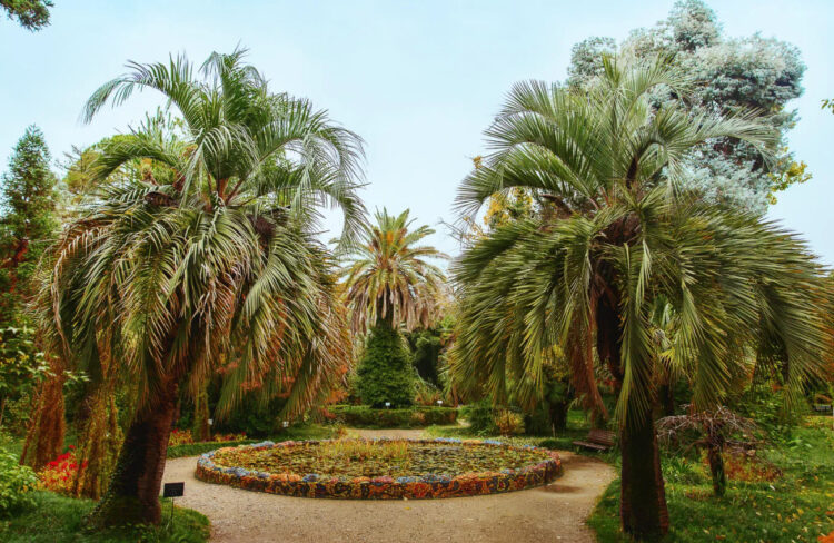 Ботанический сад в Сухуме, Абхазия