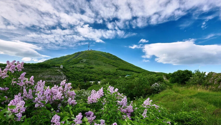 Гора Машук Пятигорска