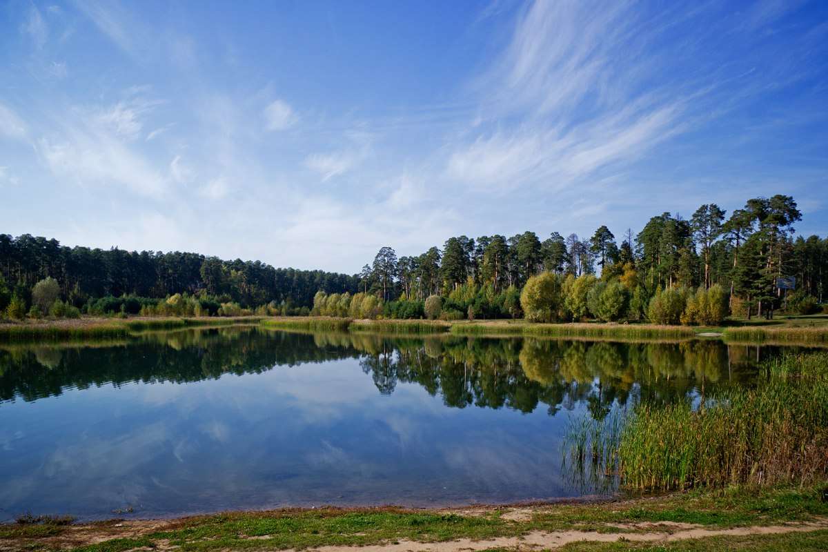 Лебяжье озеро в казани фото