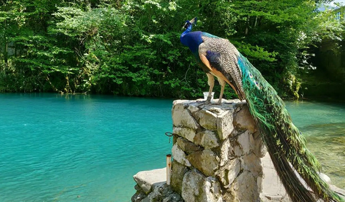 Голубое озеро в Абхазии: можно ли купаться, фото, на карте, глубина, легенда