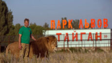 Сафари-парк «Тайган» в Крыму: экскурсии и цена билета в 2022 году