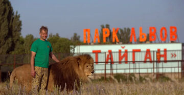 Сафари-парк «Тайган» в Крыму: экскурсии и цена билета в 2024 году