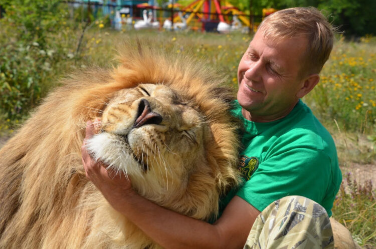 Олег Зубков со львом