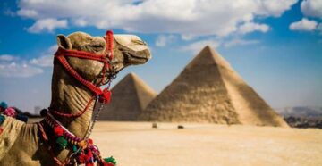 Без бюрократии: в Египте упростят систему Tax Free, сделав ее выгодной для туристов